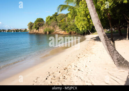 Lance Aux Epines Beach Stock Photo