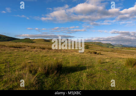 Moorland in St John's-in-the-Vale looking towards Tewet Tarn, Lake District, Cumbria, England Stock Photo
