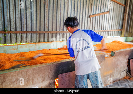 Processing Tây Ninh shrimp salt (muoi tom) of Vietnamese cuisine. Tay Ninh is famous for wholesale shrimp salt in Vietnam Stock Photo