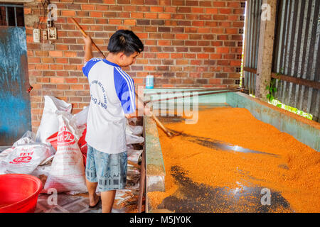 Processing Tây Ninh shrimp salt (muoi tom) of Vietnamese cuisine. Tay Ninh is famous for wholesale shrimp salt in Vietnam Stock Photo