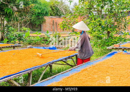 Processing Tây Ninh shrimp salt (muoi tom) of Vietnamese cuisine. Tay Ninh is famous for wholesale shrimp salt in Vietnam Stock Photo