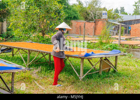 Processing Tây Ninh shrimp salt (muoi tom) of Vietnamese cuisine. Tay Ninh is famous for wholesale shrimp salt in Vietnam Stock Photo