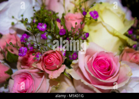 Beautiful roses, white violets and purple gypsophila bouquet Stock Photo