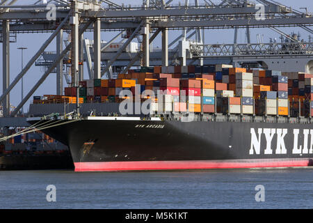 ROTTERDAM - JAN 13, 2012: Gantry crane operator placing a container in ...