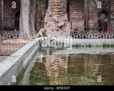 Sculpture of the Frog Fountain in the Barcelona Cathedral devoted to the Saint Cross and Saint Eulalia Stock Photo