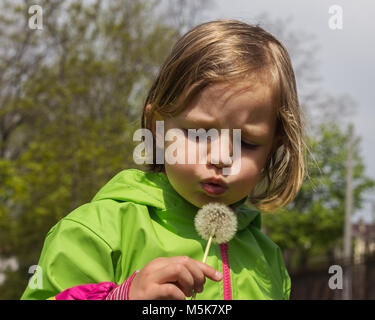 Beautiful little girl blowing dandelion. Selective focus. Stock Photo