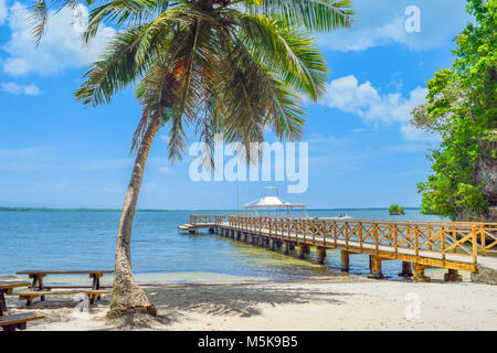 Sandy beach with a big palm and small bridge in caribbean Sea, Dominican Republic Stock Photo