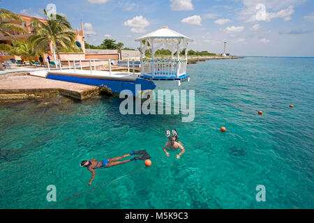 Snorkeller in crystal clear water at hotel Cozumel, behind the Honeymoon lodge on jetty, Cozumel, Mexico, Caribbean Stock Photo