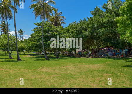 Green landscape with tropical palms and little  colorful huts between inside of the tropical island, caribbean market Stock Photo