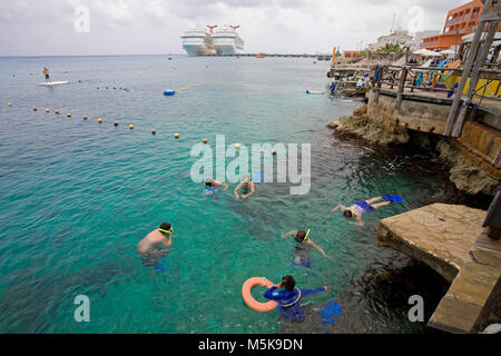 Snorkeller at a bathing platform, cruise liner Carnival Valor and Carnival Conquest at terminal, San Miguel, Cozumel, Mexico, Caribbean Stock Photo