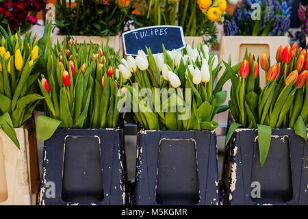 Tulips in the market, Biarritz-France Stock Photo