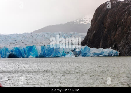 Rugged face of Glaciar Grey melts and calves into Lago Grey; Torres del Paine National Park; Patagonia; Chile Stock Photo