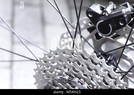 Bicycle gear, disk brake and metal chain rings detail, close up shot of a black hydraulic mountainbike disc brake installed in rear wheel Stock Photo