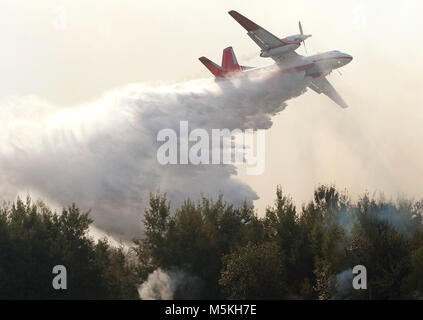 plane drops water on a forest fire Stock Photo