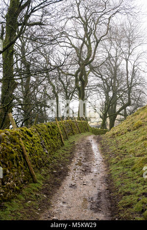 Muddy footpath on part of the Settle Loop in the Yorkshire Dales Stock Photo