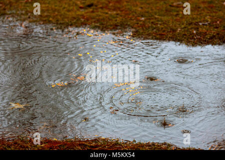 Rain drops rippling in a puddle with Rain over the stormy Stock Photo