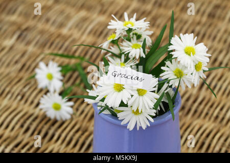 Gracias (thank you in Spanish) card with white daisies in blue vase on wicker surface Stock Photo