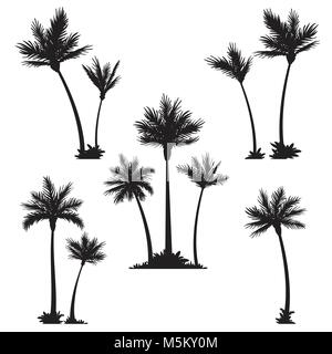 Tropical palm trees, black silhouettes. Stock Vector