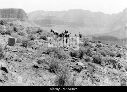 D Grand Canyon Historic Clear Creek Trail . TRAIL CONSTRUCTION ON CLEAR CREEK TRAIL, GRAND CANYON NATIONAL PARK. Stock Photo