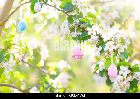 Easter egg hunt. Pastel colored eggs hanging on cherry tree with flowers. Blooming fruit garden. Easter decoration for garden and backyard. Cherry blo Stock Photo