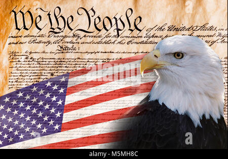 Constitution of America, We the People with bald eagle and American flag. Stock Photo