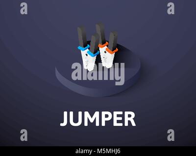 Jumper isometric icon, isolated on color background Stock Vector