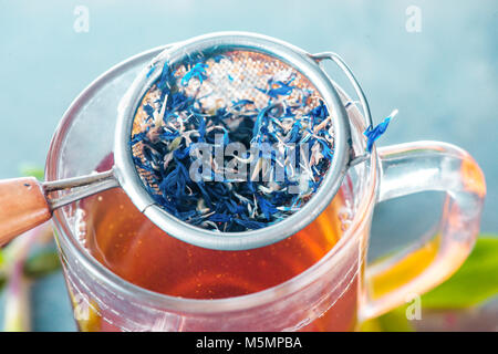 Cornflower welding close-up in a tea strainer on a glass cup. Stock Photo