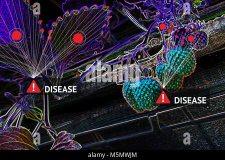 Smart agriculture , internet of things (iot) technology concept. Image processing camera of artificial intelligence identify plant diseases in strawbe Stock Photo