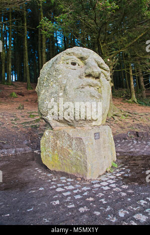 Sculptured head 'Orme Sight' by Thompson Dagnall on Beacon Fell Country Park Lancashire England UK Stock Photo