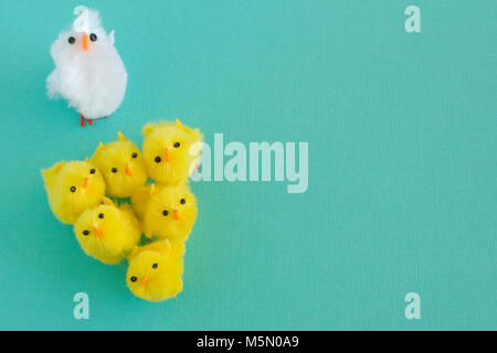 An Easter white fluffy craft chicken with six fluffy yellow craft chicks on an aqua background. Stock Photo