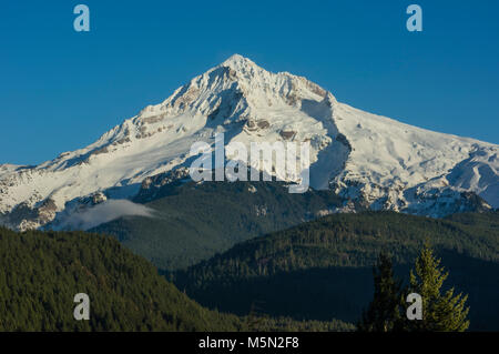 Mt Hood in the Cascade Mountains is a snow covered volcano Stock Photo