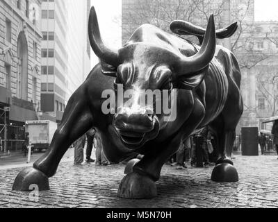 Charging Bull in Lower Manhattan, NY. Stock Photo