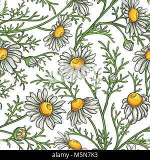 chamomile flower vector pattern on white background Stock Vector