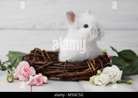 Easter bunny with flowers on white planks Stock Photo