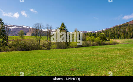 grassy meadow among the forest in mountains. beautiful countryside with snowy tops of mountains in the distance Stock Photo