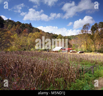 A fall view of the Georgia countryside near Blairsville, Macon County, Georgia, USA Stock Photo