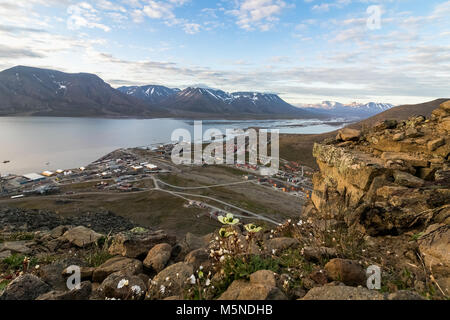 Longyearbyen and the Advent fjord seen from Platafjellet, the Plata mountain, in Svalbard. Papavers and other flowers in the rocky foreground Stock Photo