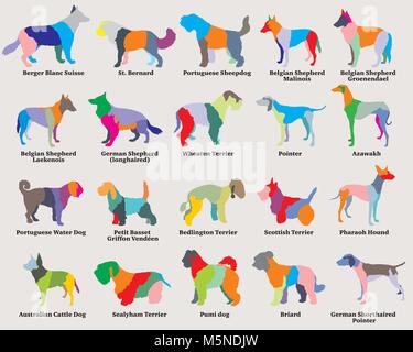 Vector set of colorful mosaic isolated different breeds dogs silhouettes on grey background. Part 6 Stock Vector