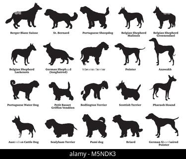 Vector set of different breeds dogs silhouettes isolated in black color on white background. Part 6 Stock Vector