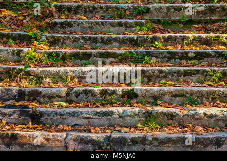 Dilapidated stone stairs covered with grass and dry leaves in sunny autumn day closeup Stock Photo