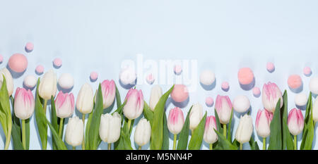 Easter eggs and tulip flower on blue background Stock Photo