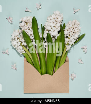 White hyacinths in  envelope. Stock Photo