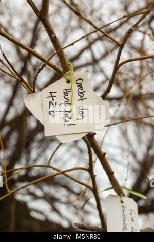 Magdeburg, Germany - February 25,2018: On a willow in Magdeburg, a tree for wishes, there is a note with the inscription 'Give the hemp free'. Stock Photo
