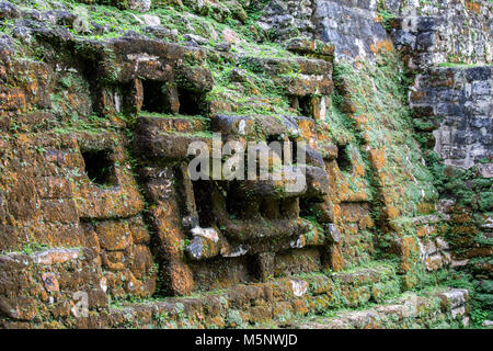 The Belize Lamanai Mayan Ruins