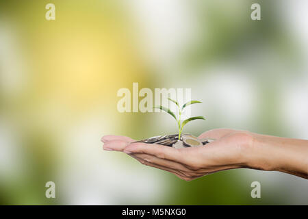 Hand holding coins with growing tree with copy space. Tree growing on Thai coins. Investment growing money for future concept. Stock Photo