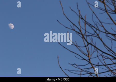 County Armagh, Northern Ireland. 25 Feb 2018. UK weather. A clear day, a 68% visible moon and an easterly breeze all add up to plummeting temperatures. It will remain dry and cold with mostly clear skies. Credit: David Hunter/Alamy Live News. Stock Photo