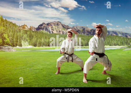 Martial arts karate masters in white kimono and black belts, training in summer park Stock Photo