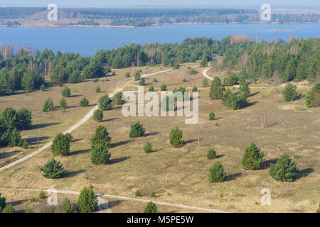 Bird's eye view on Sedlitzer See. The surroundings of Senftenberg. Germany. Federal state of Brandenburg. Stock Photo