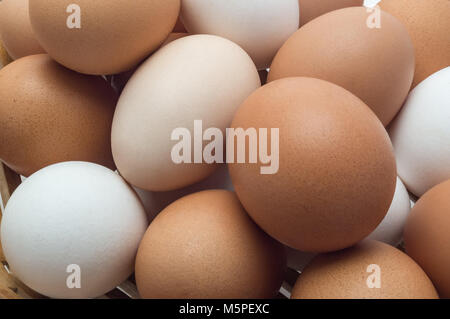 Chicken eggs in different colors shades close-up as background Stock Photo