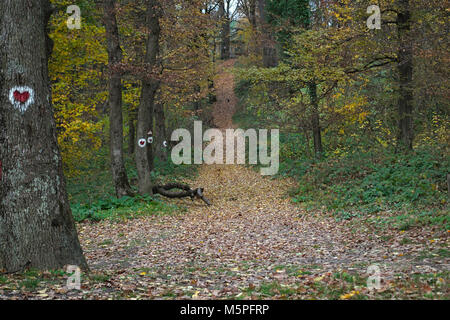 Foot path going up the hill covered with dry yellow leaves Stock Photo